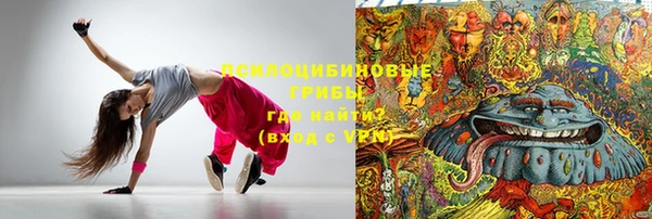 дмт Аркадак