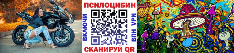 Галлюциногенные грибы мицелий что такое Усть-Катав